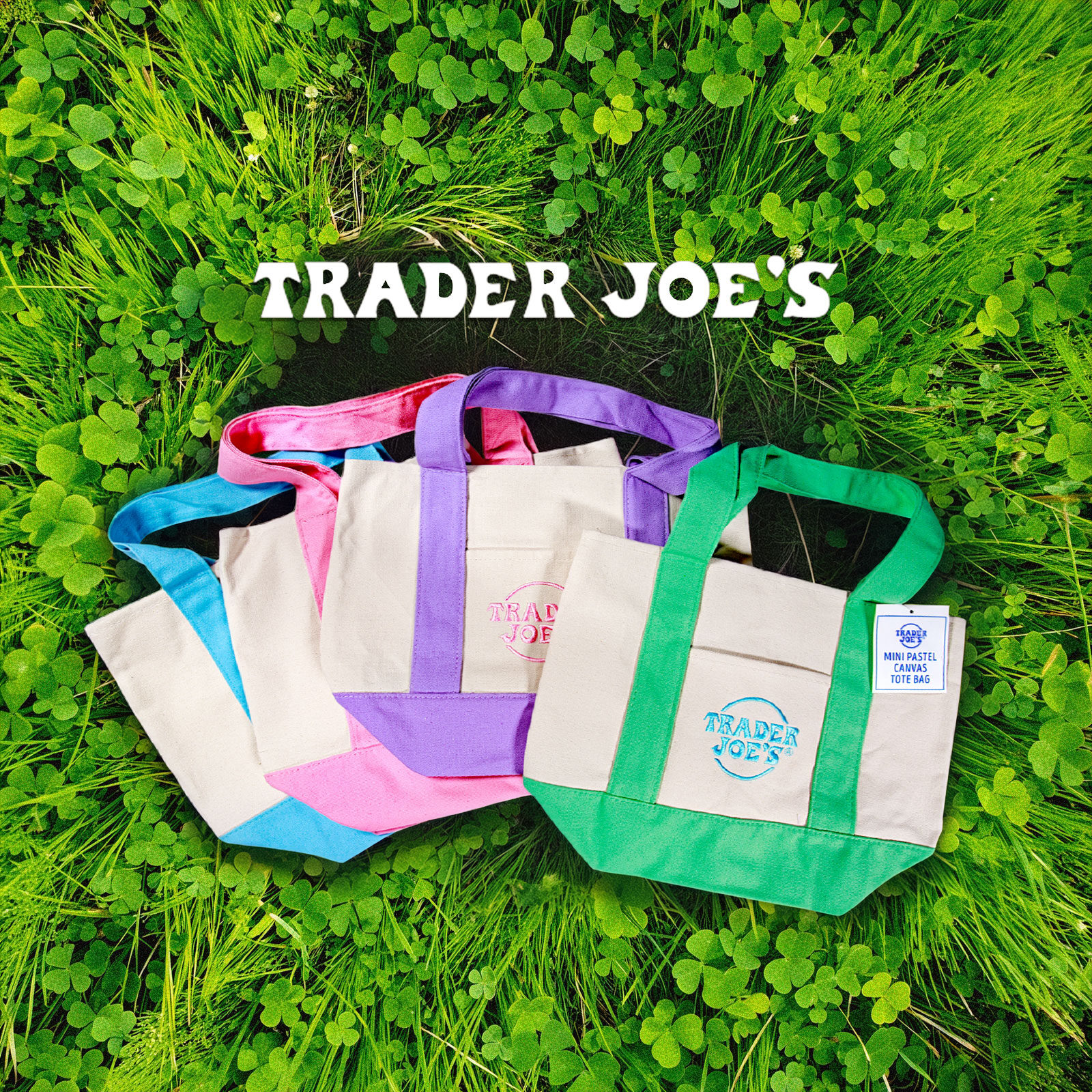 trade_joes_minis_grass